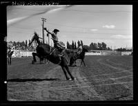 Benny Reynolds on Pile Driver