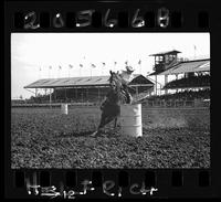 Unidentified Barrel Racers