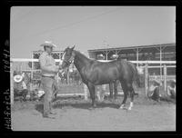 Harrison, Horses colts foaled in 1958, Bill Coffee, Harrison, Nebr.