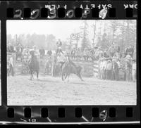 Jerry Anderson Steer Wrestle