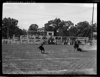 Phil Hatcher Calf Roping
