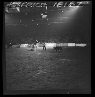 Bobby Goodspeed Calf Roping