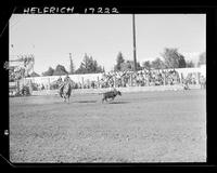 Dean Oliver Calf Roping