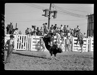 Dick Welborn #33