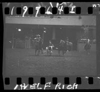 Steer Wrestling 8th Go