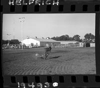 Clark Bros. Rodeo Kids