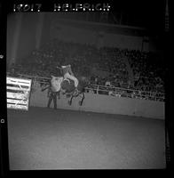 Bob Sheppard on Blue Bell #3 (Juaregui)