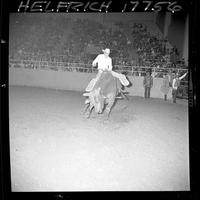 Bill Rinestine on Graucho (Flying A)