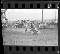 Bob Ragsdale Calf Roping