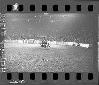 Don McLaughlin Calf Roping