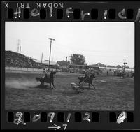 Bud Corwin - Harley May Team Roping