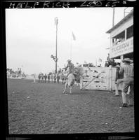 Bob Wegner on #61