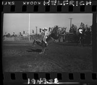 Clark Bros. Rodeo Kids