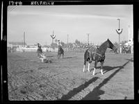 Benny Jacobs - Cliff Whatley Team Rope