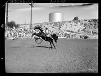 Marty Wood on Boomerang