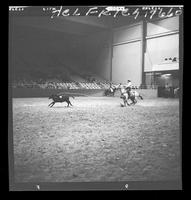 Don McLaughlin Calf Roping