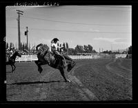 Winston Bruce on Owyhee Red