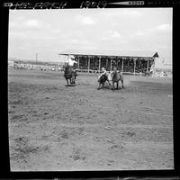 Anson Thurman Steer Wrestling