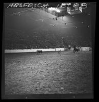 Jack Burkholder Calf Roping