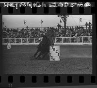 Teresa Humphrey  Barrel Racing