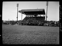 Don McLoughlin Steer Roping 1st