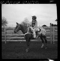 Corinne Williams & Horse