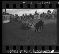 Lee Farris Calf Roping