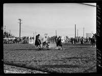 Dale Reed Steer Wrestling