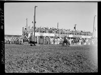 Jim Kirkland Calf Roping