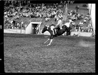 Ken Badger on Indian Head