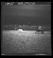 Sonny Davis Calf Roping