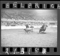 Art Messerly - Harly May Team Roping