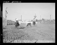 E.V. Dorsey - Harold Mattos Team Roping