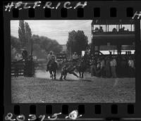 Pat Sullivan Steer Wrestling