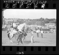 Cecil Swaggart on a Saddle Bronc (Saddle in Arena)