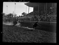Grady Allen Calf Roping