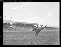 Larry Kane on Dump Wagon