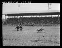 Harry Charters Calf Roping