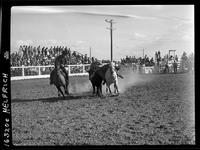 Joel Sublette Steer Wrestling