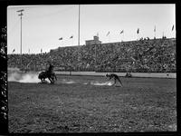 Jim Rodriguez Calf Roping