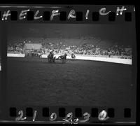 Bill Haskins Steer Wrestling