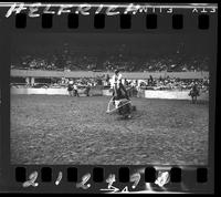 Warren Wuthier Calf Roping