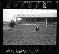 Unidentified Calf Roper