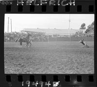 Clark Bros. Rodeo Kids