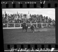 Bob A. Robinson Steer Wrestling