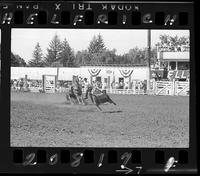 Jim Kenny Calf Roping