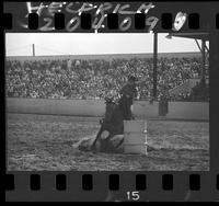 Vickie Morley Barrel Racing