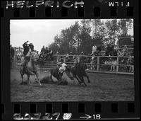 Jerry Anderson Steer Wrestling