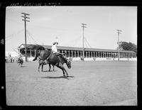 Walt Mason on Osage