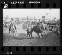 Jim Howard Steer Wrestling